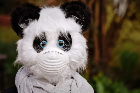 Unibet Casino Support